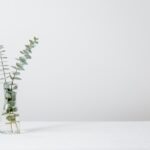 Endura Naturals Results Timeline: What to Actually Expect