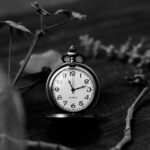 Max Performer vs VigRX Plus: Which Lasts Longer