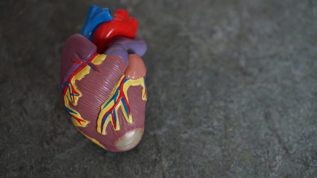 Best Supplements to Support Healthy Cholesterol Naturally