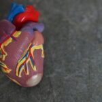Best Supplements to Support Healthy Cholesterol Naturally