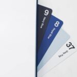 Fansly vs OnlyFans Earnings Comparison