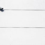 How Fan Platform Watermarking Actually Helps Creators Protect Their Content