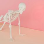 How Testosterone Levels Actually Relate to Bone Density in Men