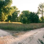 What to Do When You Want Genuinely Different Long-Term Things Than Your Partner