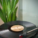 How Adult Game Soundtrack Licensing Actually Affects Development Cost 23 How Adult Game Soundtrack Licensing Actually Affects Development Cost