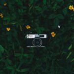 Best Adult Games With Dedicated Photo Mode Features