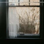 Best VR Porn Sites With Genuine Support for Picture-in-Picture Viewing